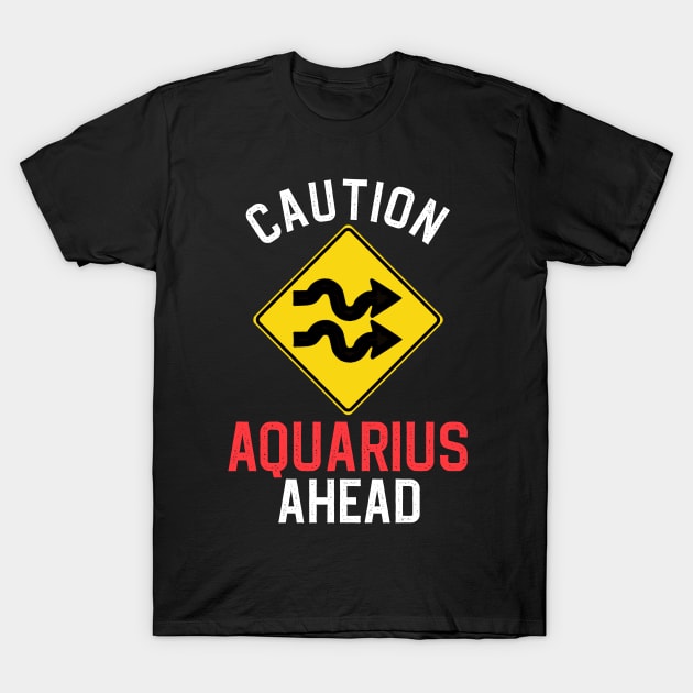 Funny Zodiac Horoscope Aquarius Road Sign Traffic Signal T-Shirt by WitchNitch